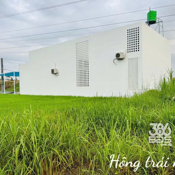 Bán nhà cấp 4 mới xây xã Tân Trạch, Cần Đước tdt 182m2 3pn 4wc giá 4,5 tỷ-2