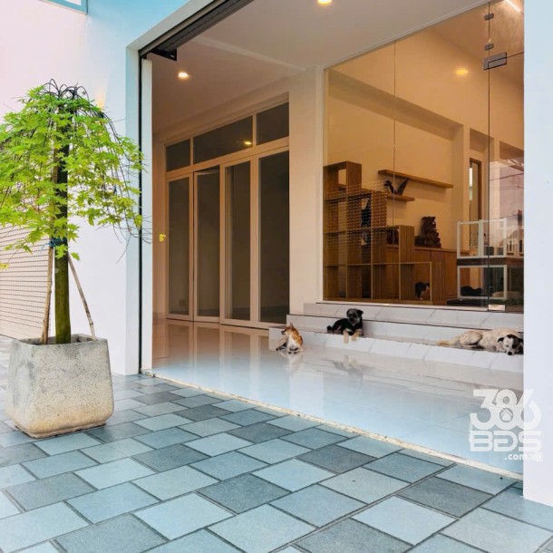 Bán nhà cấp 4 mới xây xã Tân Trạch, Cần Đước tdt 182m2 3pn 4wc giá 4,5 tỷ-7