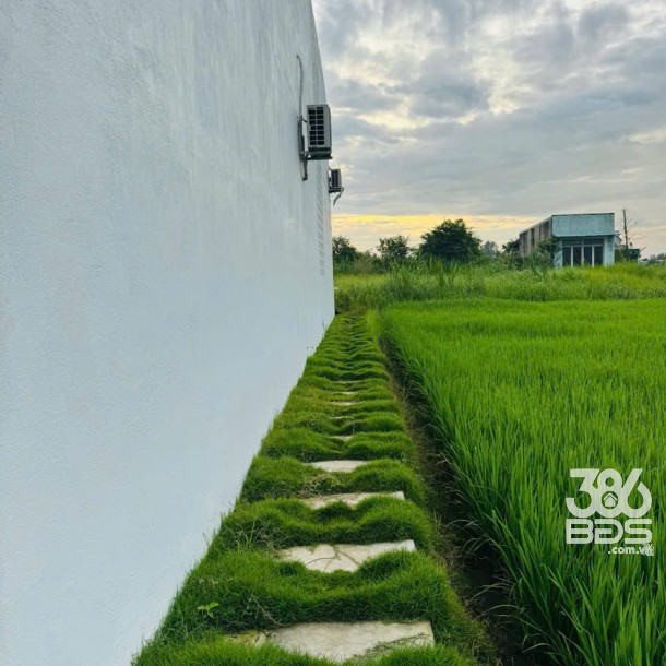 Bán nhà cấp 4 mới xây xã Tân Trạch, Cần Đước tdt 182m2 3pn 4wc giá 4,5 tỷ-8