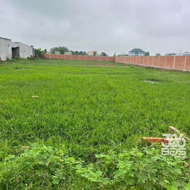 Bán đất thổ + lúa ,mặt tiền đường nhựa xã Đức Lập Hạ , dt 1500m2 ( 288m2 thổ ) giá 4,4 tỷ-3