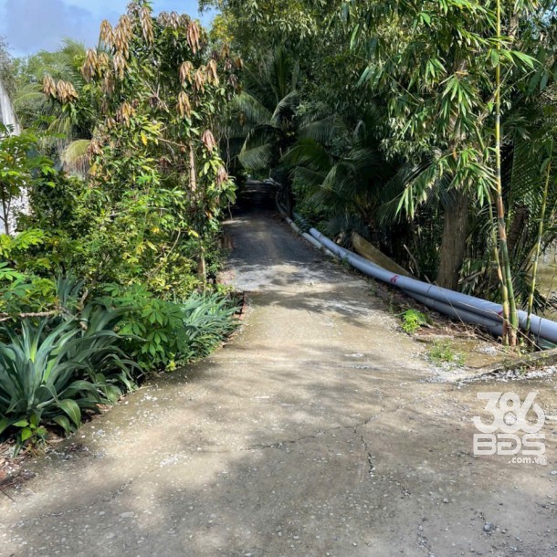 Bán đất vườn 2 mặt tiền kênh dt 5000m2 ở xã An Thạnh, Bến Lức giá 3,75 tỷ-1