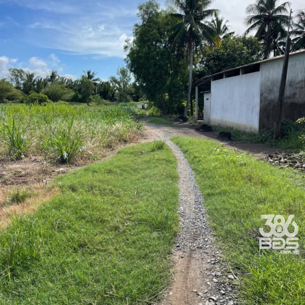 Bán đất vườn 2 mặt tiền kênh dt 5000m2 ở xã An Thạnh, Bến Lức giá 3,75 tỷ-3