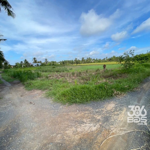 Bán đất vườn 2 mặt tiền kênh dt 5000m2 ở xã An Thạnh, Bến Lức giá 3,75 tỷ-4