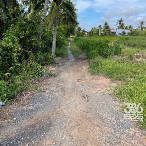 Bán đất vườn 2 mặt tiền kênh dt 5000m2 ở xã An Thạnh, Bến Lức giá 3,75 tỷ-5