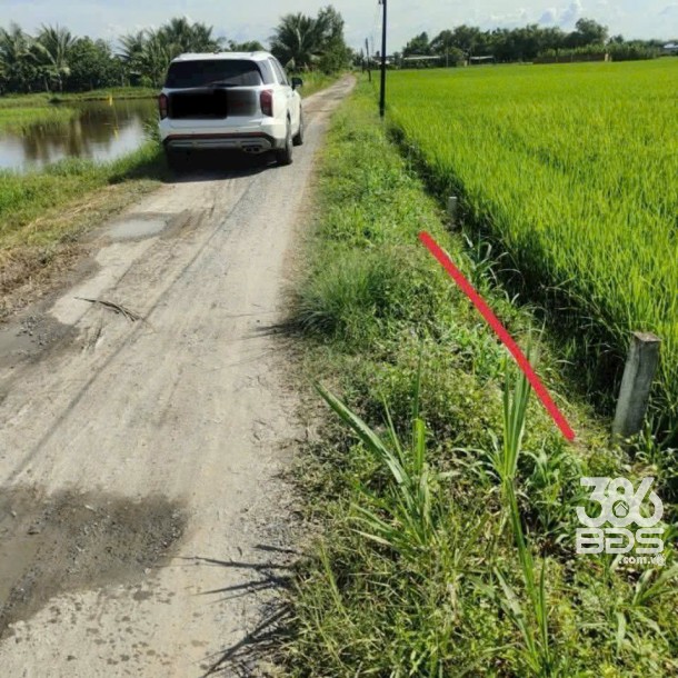 Bán lô đất thổ cư đường đá xanh xe oto xã Hiệp Hòa, huyện Đức Hòa dt 200m2 giá 650tr-2