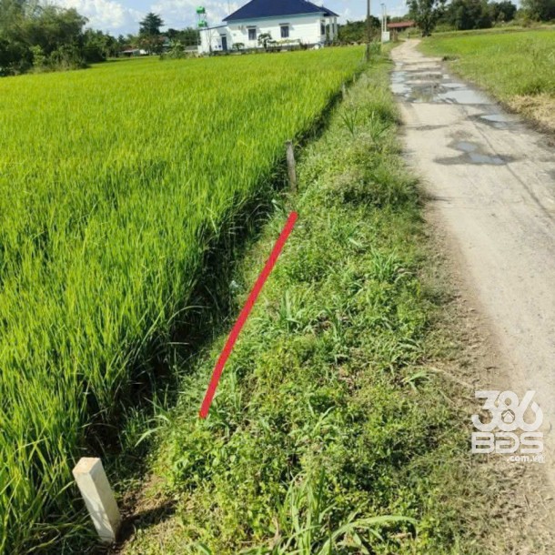 Bán lô đất thổ cư đường đá xanh xe oto xã Hiệp Hòa, huyện Đức Hòa dt 200m2 giá 650tr-3