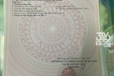 Bán lô đất rừng sản xuất, khu vực chuyển thổ cư 100% xã Mỹ Bình, Đức Huệ dt 5319m2 giá 1,8 tỷ