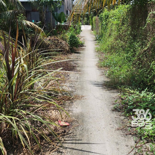 Bán nền thổ cư đường đá xanh 2m xã Tân Trụ , Bến Lức dt 105,5m2 giá 380 triệu-1