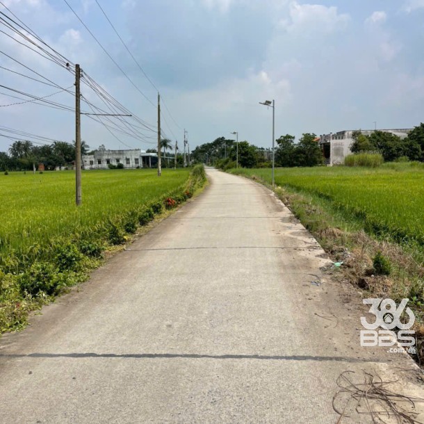 Bán 1.700m2 đất ( 400m2 thổ + 1300m2 lúa) xã An Thạnh, Bến Lức giá 5,6 tỷ-3