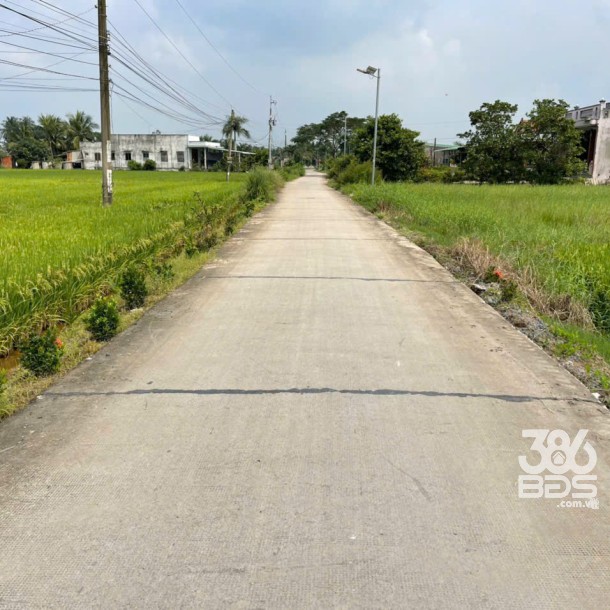 Bán 1.700m2 đất ( 400m2 thổ + 1300m2 lúa) xã An Thạnh, Bến Lức giá 5,6 tỷ-4