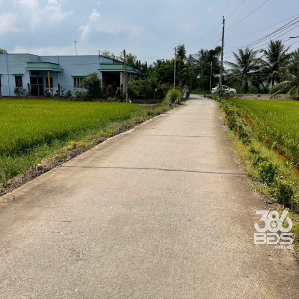 Bán 1.700m2 đất ( 400m2 thổ + 1300m2 lúa) xã An Thạnh, Bến Lức giá 5,6 tỷ-5