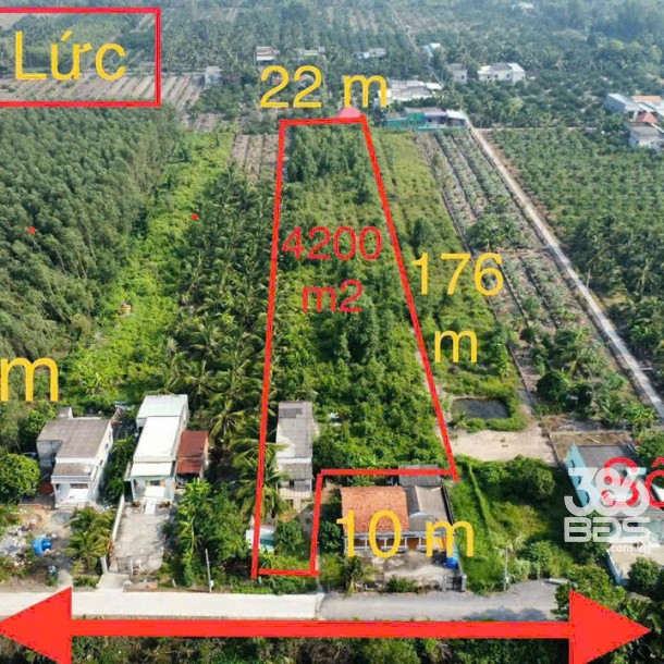 Bán 4.200m2 đất vườn ( có 300m2 thổ) ấp 9 xã Lương Hòa, Bến Lức giá 6,5 tỷ-4