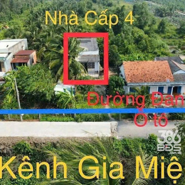 Bán 4.200m2 đất vườn ( có 300m2 thổ) ấp 9 xã Lương Hòa, Bến Lức giá 6,5 tỷ-5