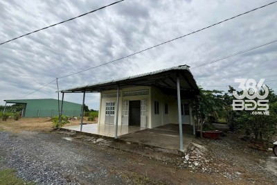 Bán nhà cấp 4 tổng dt 1300m2 đất lúa xã Đức Tân, Tân Trụ giá 1,2 tỷ