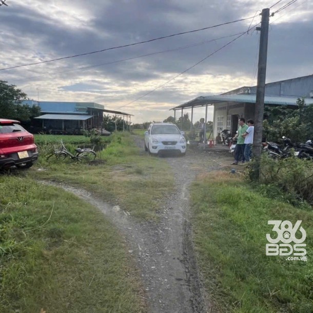 Bán nhà cấp 4 tổng dt 1300m2 đất lúa xã Đức Tân, Tân Trụ giá 1,2 tỷ-2