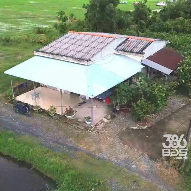 Bán nhà cấp 4 tổng dt 1300m2 đất lúa xã Đức Tân, Tân Trụ giá 1,2 tỷ-3