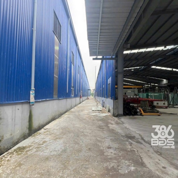 Bán nhà xưởng tdt 20.405m2 skc xã Đức Hòa Hạ, Đức Hòa giá 130 tỷ-3