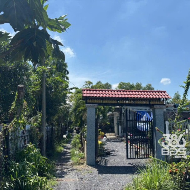 Nhà vườn thị trấn Tân Túc, Bình Chánh tdt 780m2 giá 5,3 tỷ-2