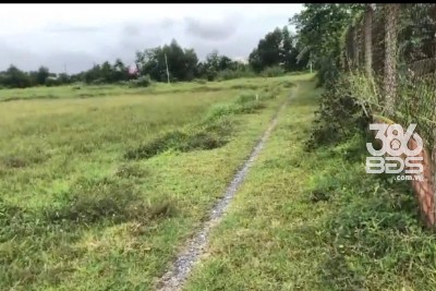 Bán đất thổ cư thị trấn Hậu Nghĩa, Đức Hòa dt 280m2 giá 1,5 tỷ