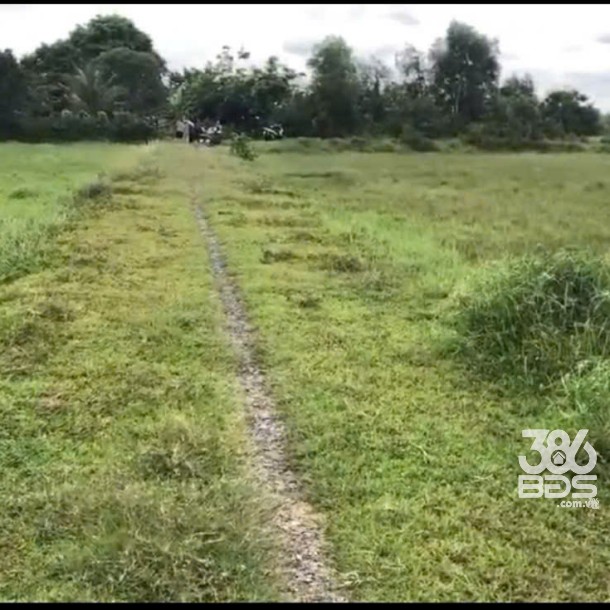 Bán đất thổ cư thị trấn Hậu Nghĩa, Đức Hòa dt 280m2 giá 1,5 tỷ-4