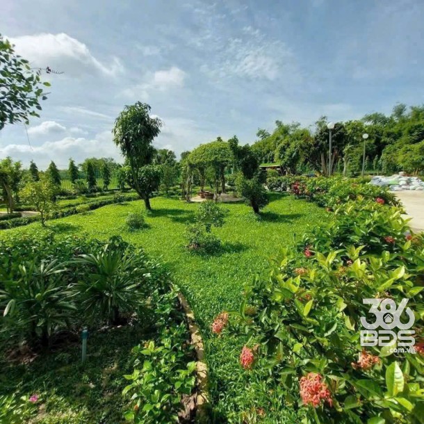 Bán nhà vườn đẹp thị trấn Hậu Nghĩa, Đức Hòa tdt 4300m2 ( có 292m2 thổ cư ) giá 12,5 tỷ-5