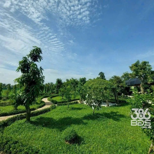 Bán nhà vườn đẹp thị trấn Hậu Nghĩa, Đức Hòa tdt 4300m2 ( có 292m2 thổ cư ) giá 12,5 tỷ-8