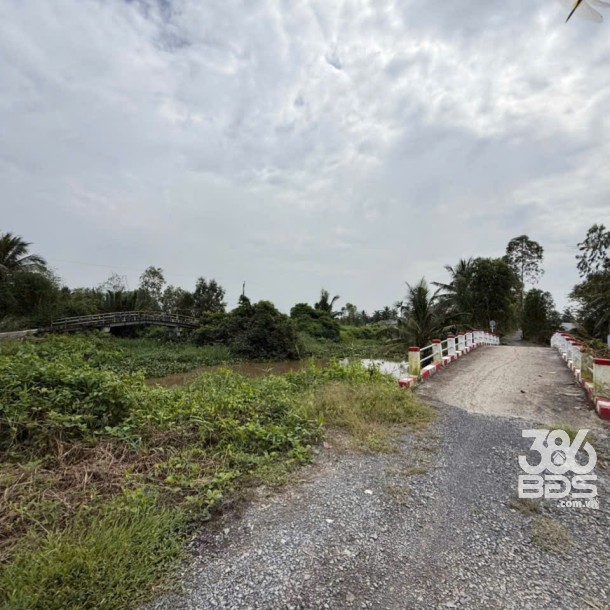 Bán đất vườn đường đá xanh xe 3 gác ,xã Tân Hòa, Bến lức dt 3000m2 giá 2,2 tỷ-1