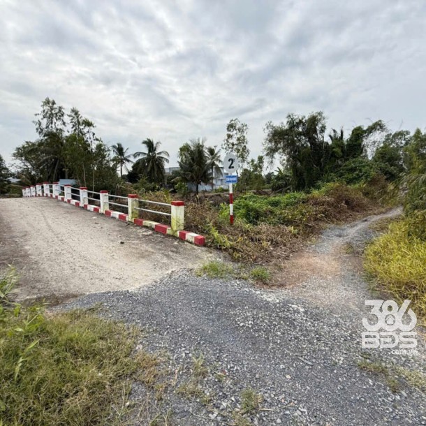 Bán đất vườn đường đá xanh xe 3 gác ,xã Tân Hòa, Bến lức dt 3000m2 giá 2,2 tỷ-2