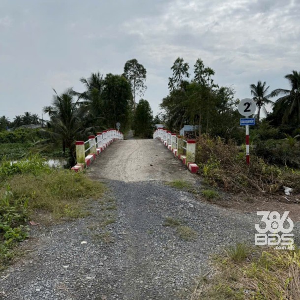 Bán đất vườn đường đá xanh xe 3 gác ,xã Tân Hòa, Bến lức dt 3000m2 giá 2,2 tỷ-3