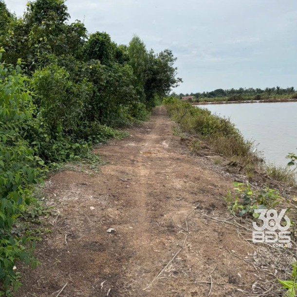 Bán đất vườn đường đá xanh xe 3 gác ,xã Tân Hòa, Bến lức dt 3000m2 giá 2,2 tỷ-5