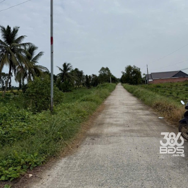 Bán đất thổ + vườn mặt tiền kênh ở xã Tân Hòa, Bến Lức tdt 1297m2 ( có 1200m2 thổ) giá 1,3 tỷ-2