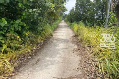 Bán đất mặt tiền kênh ở xã Tân Bửu , Bến Lức tdt 9600m2 ( có 131m2 thổ) giá 10 tỷ