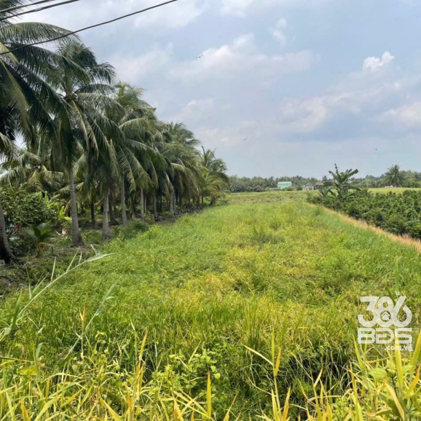 Bán đất mặt tiền kênh ở xã Tân Bửu , Bến Lức tdt 9600m2 ( có 131m2 thổ) giá 10 tỷ-7