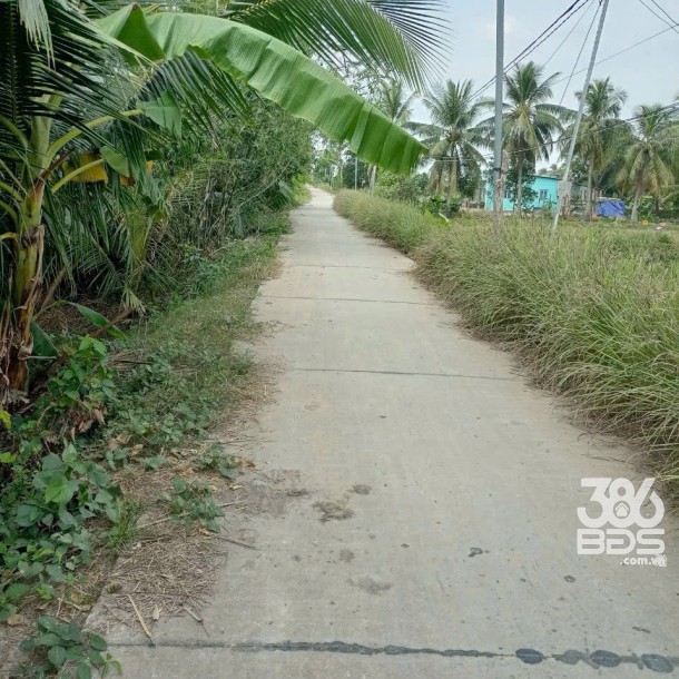 Bán đất mặt tiền kênh ở xã Tân Bửu , Bến Lức tdt 9600m2 ( có 131m2 thổ) giá 10 tỷ-9