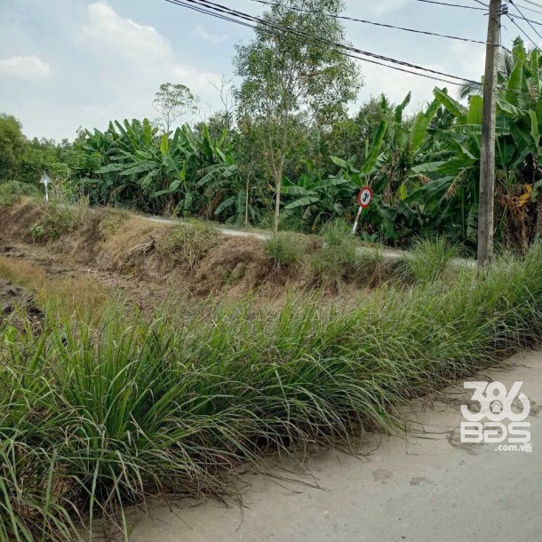 Bán đất mặt tiền kênh ở xã Tân Bửu , Bến Lức tdt 9600m2 ( có 131m2 thổ) giá 10 tỷ-10