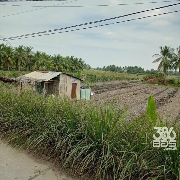 Bán đất mặt tiền kênh ở xã Tân Bửu , Bến Lức tdt 9600m2 ( có 131m2 thổ) giá 10 tỷ-11