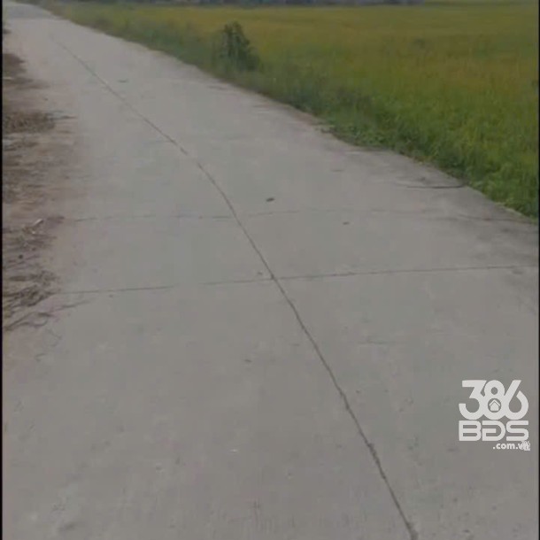 Bán đất xã Hiệp Hòa, Đức Hòa full thổ cư góc 2mt đường betong , dt 708m2 giá 2,3 tỷ-2