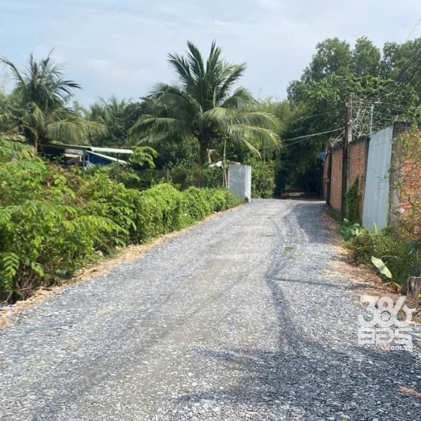 Bán đất thổ cư hẻm thị trấn Hậu Nghĩa dt 140m2 giá 1,25 tỷ-1