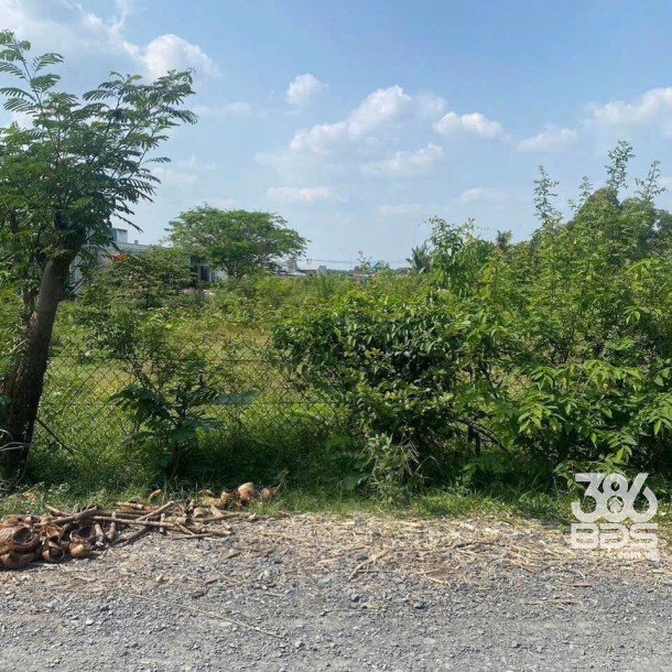 Bán đất thổ cư hẻm thị trấn Hậu Nghĩa dt 140m2 giá 1,25 tỷ-3