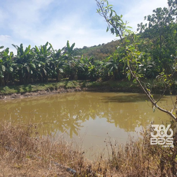 Bán đất vườn view đẹp thôn 10, xã Lộc Nam tdt 14.500m2 giá 11,2 tỷ-4