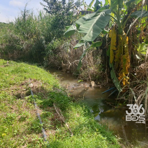 Bán đất vườn view đẹp thôn 10, xã Lộc Nam tdt 14.500m2 giá 11,2 tỷ-5