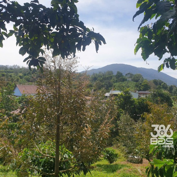 Bán đất vườn view đẹp thôn 10, xã Lộc Nam tdt 14.500m2 giá 11,2 tỷ-12