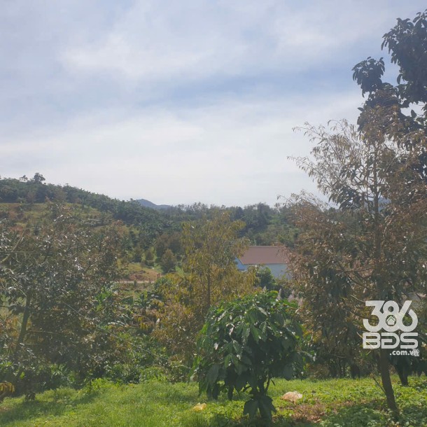 Bán đất vườn view đẹp thôn 10, xã Lộc Nam tdt 14.500m2 giá 11,2 tỷ-15