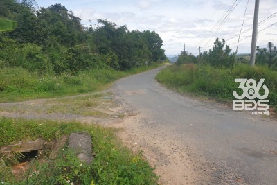 Bán đất vườn view, mặt tiền đường nhựa thôn 10, xã Lộc Nam, huyện Bảo Lâm dt 8.876m2 giá 5,9 tỷ