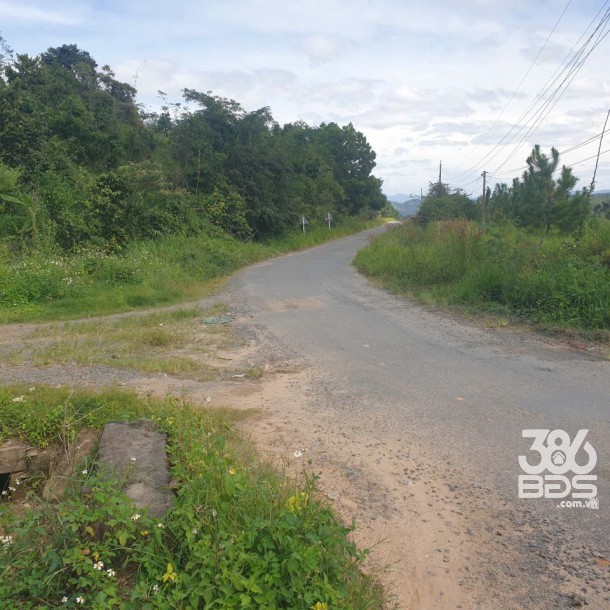 Bán đất vườn view, mặt tiền đường nhựa thôn 10, xã Lộc Nam, huyện Bảo Lâm dt 8.876m2 giá 5,9 tỷ-1