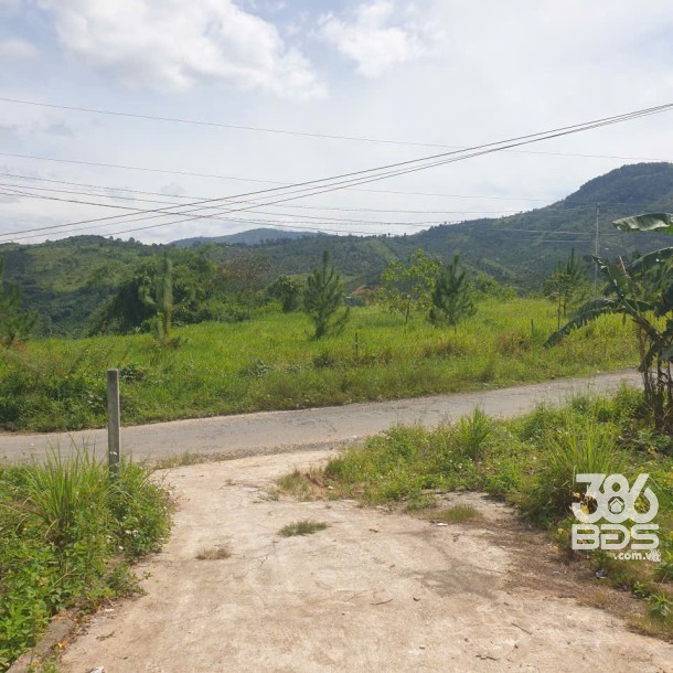 Bán đất vườn view, mặt tiền đường nhựa thôn 10, xã Lộc Nam, huyện Bảo Lâm dt 8.876m2 giá 5,9 tỷ-5