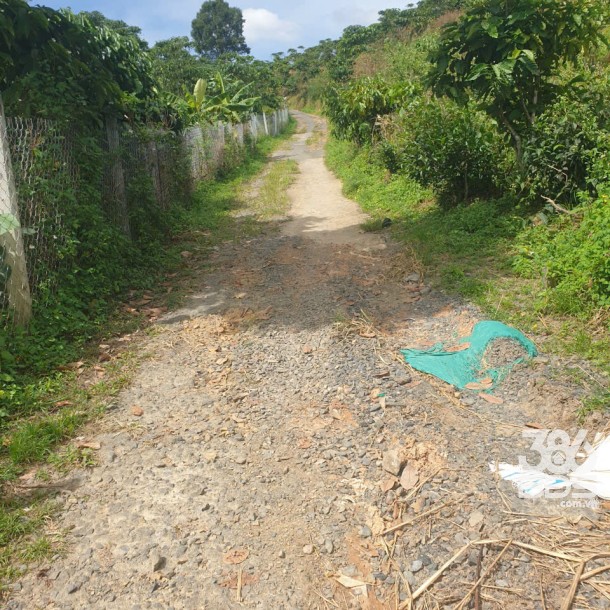 Bán đất vườn view, mặt tiền đường nhựa thôn 10, xã Lộc Nam, huyện Bảo Lâm dt 8.876m2 giá 5,9 tỷ-7