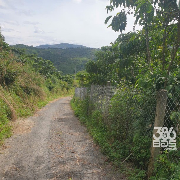 Bán đất vườn view, mặt tiền đường nhựa thôn 10, xã Lộc Nam, huyện Bảo Lâm dt 8.876m2 giá 5,9 tỷ-10