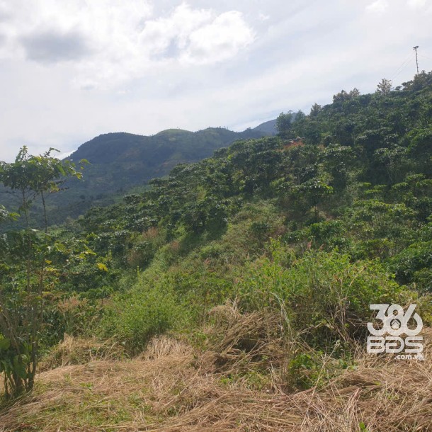 Bán đất vườn view, mặt tiền đường nhựa thôn 10, xã Lộc Nam, huyện Bảo Lâm dt 8.876m2 giá 5,9 tỷ-16