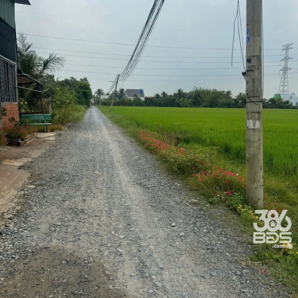 Bán đất thổ cư xã Hòa Khánh Đông , Đức Hòa dt 145m2 giá 880 triệu-1